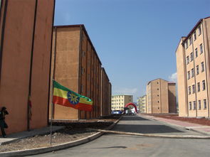 秸稈變環(huán)保建材 抗震又防火的建筑黑科技