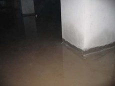 北京金盾建材防水公司 卓越建筑材料與專業防水解決方案